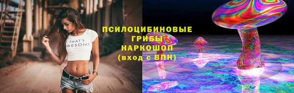 ПСИЛОЦИБИНОВЫЕ ГРИБЫ Арсеньев